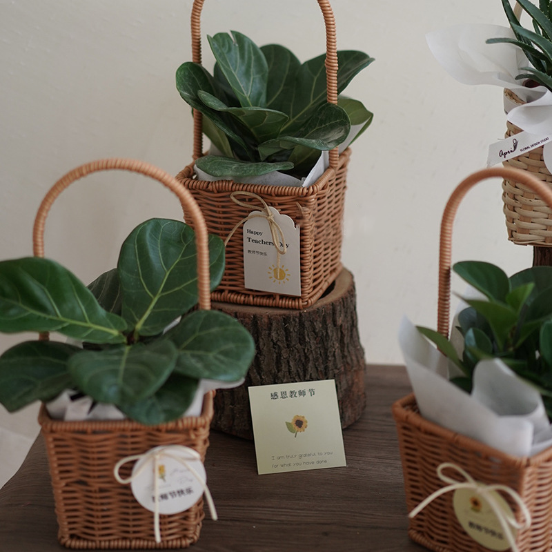 Hand-Woven Retro Flower Basket - Portable Picnic Storage Basket with Iron Frame for Flowers & Green Plants